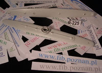 RAMIĘ ZRASZACZA DOLNE